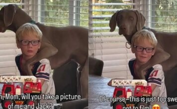 Boy & His Dog Have the Kind of Friendship Mom Has to Stop & Film Boy & His Dog Have the Kind of Friendship Mom Has to Stop & Film