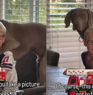 Boy & His Dog Have the Kind of Friendship Mom Has to Stop & Film Boy & His Dog Have the Kind of Friendship Mom Has to Stop & Film