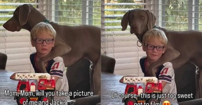 Boy & His Dog Have the Kind of Friendship Mom Has to Stop & Film