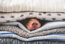 Could Your Dog Use a Heated Dog Bed? Could Your Dog Use a Heated Dog Bed?