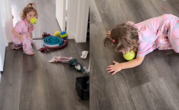 Dog Accidentally Teaches Toddler How To Play Fetch, but She Copies One Part a Little Too Well Dog Accidentally Teaches Toddler How To Play Fetch, but She Copies One Part a Little Too Well