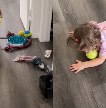 Dog Accidentally Teaches Toddler How To Play Fetch, but She Copies One Part a Little Too Well Dog Accidentally Teaches Toddler How To Play Fetch, but She Copies One Part a Little Too Well