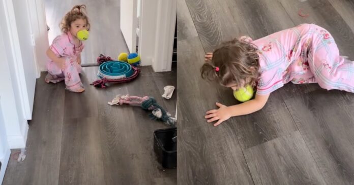 Dog Accidentally Teaches Toddler How To Play Fetch, but She Copies One Part a Little Too Well