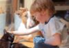 Dog Mimics Tiny Human & Immediately Checks If He Did It Right Dog Mimics Tiny Human & Immediately Checks If He Did It Right