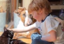 Dog Mimics Tiny Human & Immediately Checks If He Did It Right Dog Mimics Tiny Human & Immediately Checks If He Did It Right