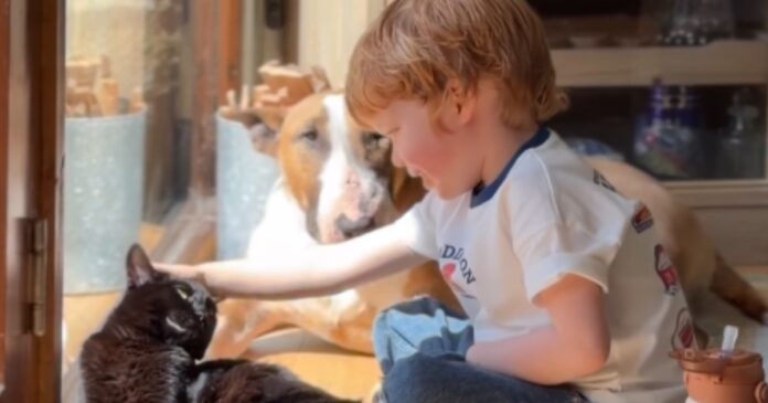 Dog Mimics Tiny Human & Immediately Checks If He Did It Right
