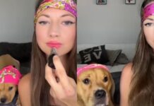 Dog Never Outgrows the Kiss He Learned to Give During Mom’s Lipstick Routine Dog Never Outgrows the Kiss He Learned to Give During Mom’s Lipstick Routine