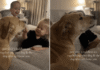 Dog Talks Back as Toddlers Tease Her — Mom Is Clearly Getting Blamed for the Whole Thing Dog Talks Back as Toddlers Tease Her — Mom Is Clearly Getting Blamed for the Whole Thing
