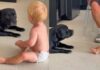 Dogs Usually Play Rough, but Everything Changes When the Baby Is Near Them Dogs Usually Play Rough, but Everything Changes When the Baby Is Near Them