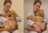 Golden Retriever Hides in Mom’s Arms by the Stairs Because Being Brave Can Wait Until Tomorrow Golden Retriever Hides in Mom’s Arms by the Stairs Because Being Brave Can Wait Until Tomorrow