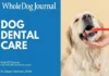 How to Take Care of Your Dog’s Teeth How to Take Care of Your Dog's Teeth