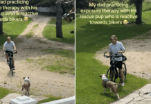 Rescue Dog Struggles Around Cyclists & So His Dad Gets on a Bike to Help Him Feel Safe Rescue Dog Struggles Around Cyclists & So His Dad Gets on a Bike to Help Him Feel Safe