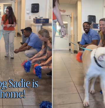 Shelter Dog Walks Out With Her New Family — The Goodbye Everyone Wanted Is Finally Here Shelter Dog Walks Out With Her New Family — The Goodbye Everyone Wanted Is Finally Here