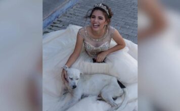 Street Dog Wanders Into a Quinceañera Photo Shoot and Finds His Place Street Dog Wanders Into a Quinceañera Photo Shoot and Finds His Place