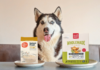 The Honest Kitchen Wholemade vs. The Farmer's Dog Instant Fresh: A Vet Tech Compares [2026]