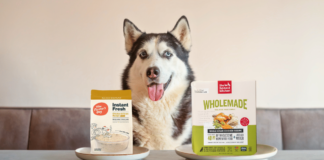 The Honest Kitchen Wholemade vs. The Farmer's Dog Instant Fresh: A Vet Tech Compares [2026]