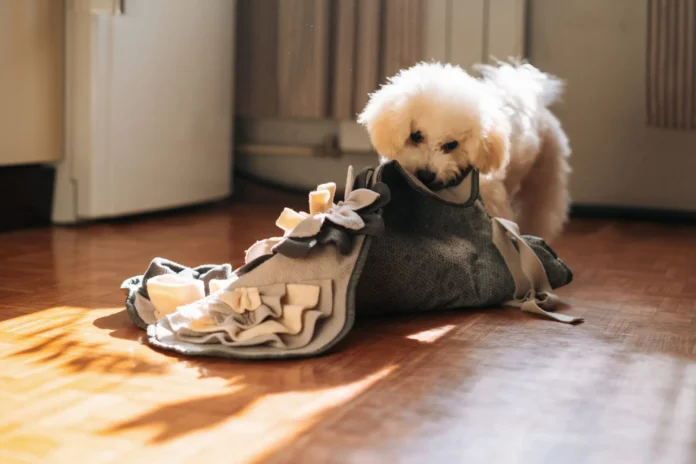 The Ins and Outs of Dog Stomach Gurgling