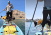 Two Dogs Share a Paddleboard, but One Booked a Cruise & the Other Signed Up for Adventure Two Dogs Share a Paddleboard, but One Booked a Cruise & the Other Signed Up for Adventure