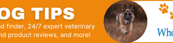Video: How to Choose the Right Dog Food Video: How to Choose the Right Dog Food