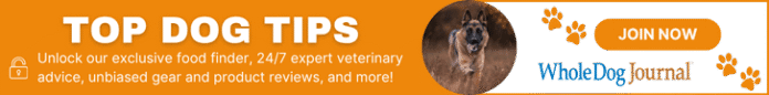 Video: How to Choose the Right Dog Food