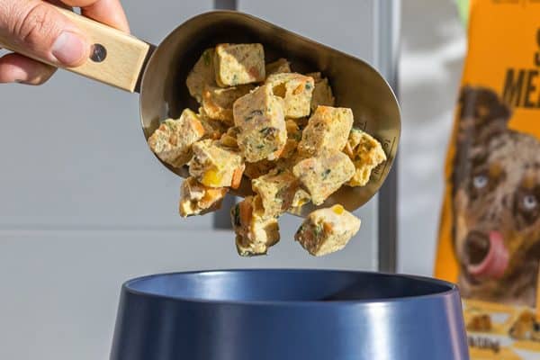 Close-up of a scoop of thawed clusters showing visible pieces of chicken, sweet potato and vegetables