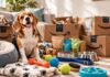 13 Reasons Your Dog Thinks You Need an Amazon Prime Membership 13 Reasons Your Dog Thinks You Need an Amazon Prime Membership