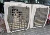 Choosing the Best Hard Dog Crate for Your Dog Choosing the Best Hard Dog Crate for Your Dog