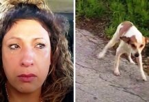 Woman Drives To A ‘Dog Dumping Ground’ At 4AM And Sees A Dog Staring At Her Woman Drives To A 'Dog Dumping Ground' At 4AM And Sees A Dog Staring At Her