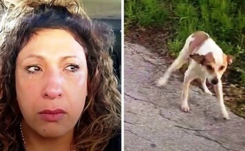 Woman Drives To A ‘Dog Dumping Ground’ At 4AM And Sees A Dog Staring At Her Woman Drives To A 'Dog Dumping Ground' At 4AM And Sees A Dog Staring At Her