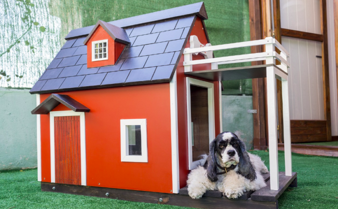 The Top 5 Advice to Build an Eco-Friendly Puppy House for Your Cockapoo